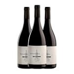 Descubre la Magia de los Vinos de Yecla: Un Análisis de las Mejores Bebidas Alcohólicas de la Región