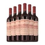 Descubriendo el Vino Protocolo: La Elegancia y Sabor de una Joyita Enológica