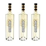 Brindando al Ritmo del Mar: Las Mejores Bebidas Alcohólicas para Disfrutar en la Playa