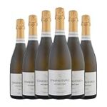 Descubre el Dominio de Calles Cava Brut: Precio y Razones para Añadirlo a Tu Colección