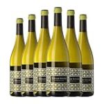 Descubriendo el Albariño Follas Novas: La Joya de los Vinos Blancos Gallegos