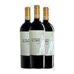 Descubriendo el Camino de Castilla: Un Viaje a Través de los Mejores Vinos de la Región