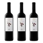 Descubre la Magia del Festival del Vino del Somontano: Una Experiencia Sensorial entre las Mejores Bebidas Alcohólicas