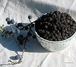 Guía Definitiva para Comprar Endrinas: Descubre cómo Aprovechar al Máximo este Ingrediente en tus Bebidas Alcohólicas