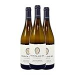 Descubriendo Quinta do Sil: Un Viaje a Través de Sus Mejores Bebidas Alcohólicas