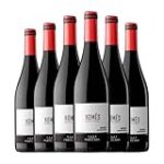 Descubriendo la Garnatxa Negra: El Secreto Mejor Guardado de los Vinos Españoles