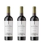 Descubre el Vino Malbec Argentino: Un Tesoro de Sabores en el Mundo de las Bebidas Alcohólicas